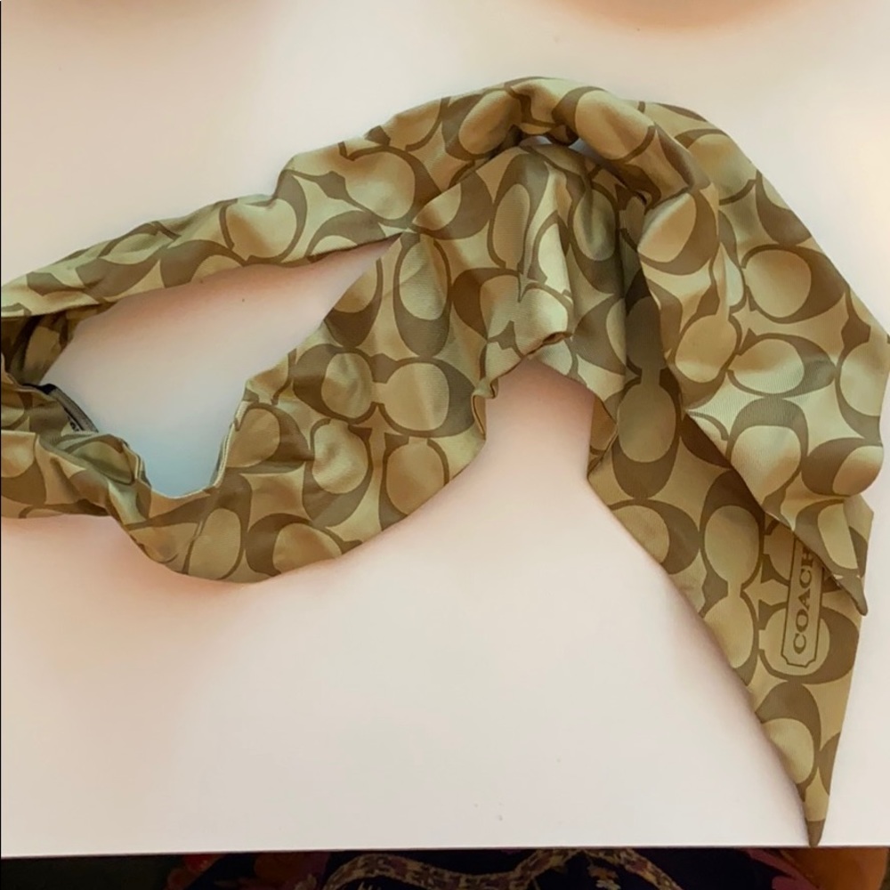 Coach scarf